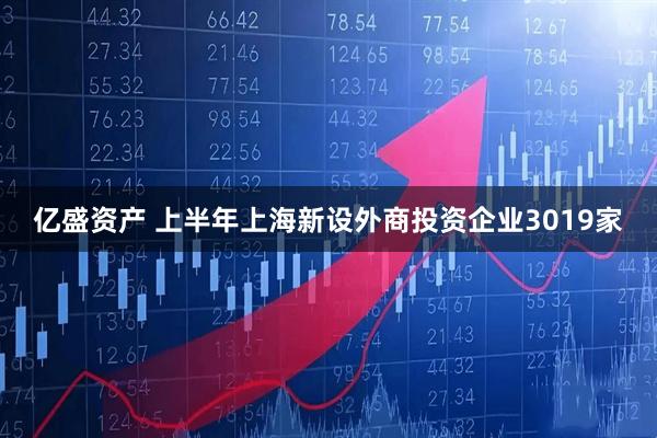 亿盛资产 上半年上海新设外商投资企业3019家
