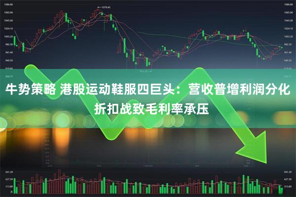 牛势策略 港股运动鞋服四巨头：营收普增利润分化  折扣战致毛利率承压