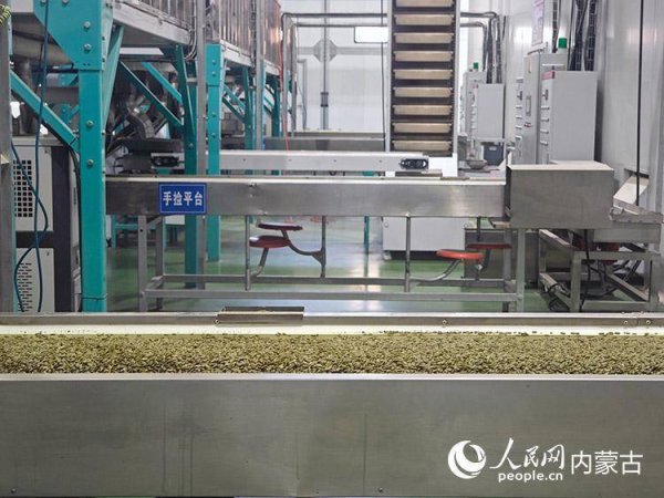 股策略 行进中国｜瓜子香“飘”出草原